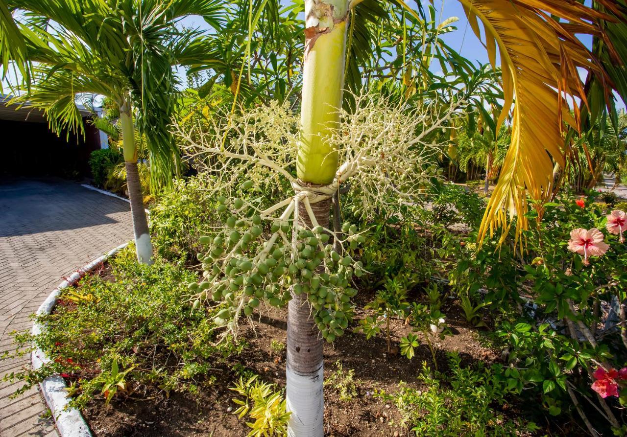 Nature'S Choice Home Richmond Palms, Jamaica Esterno foto