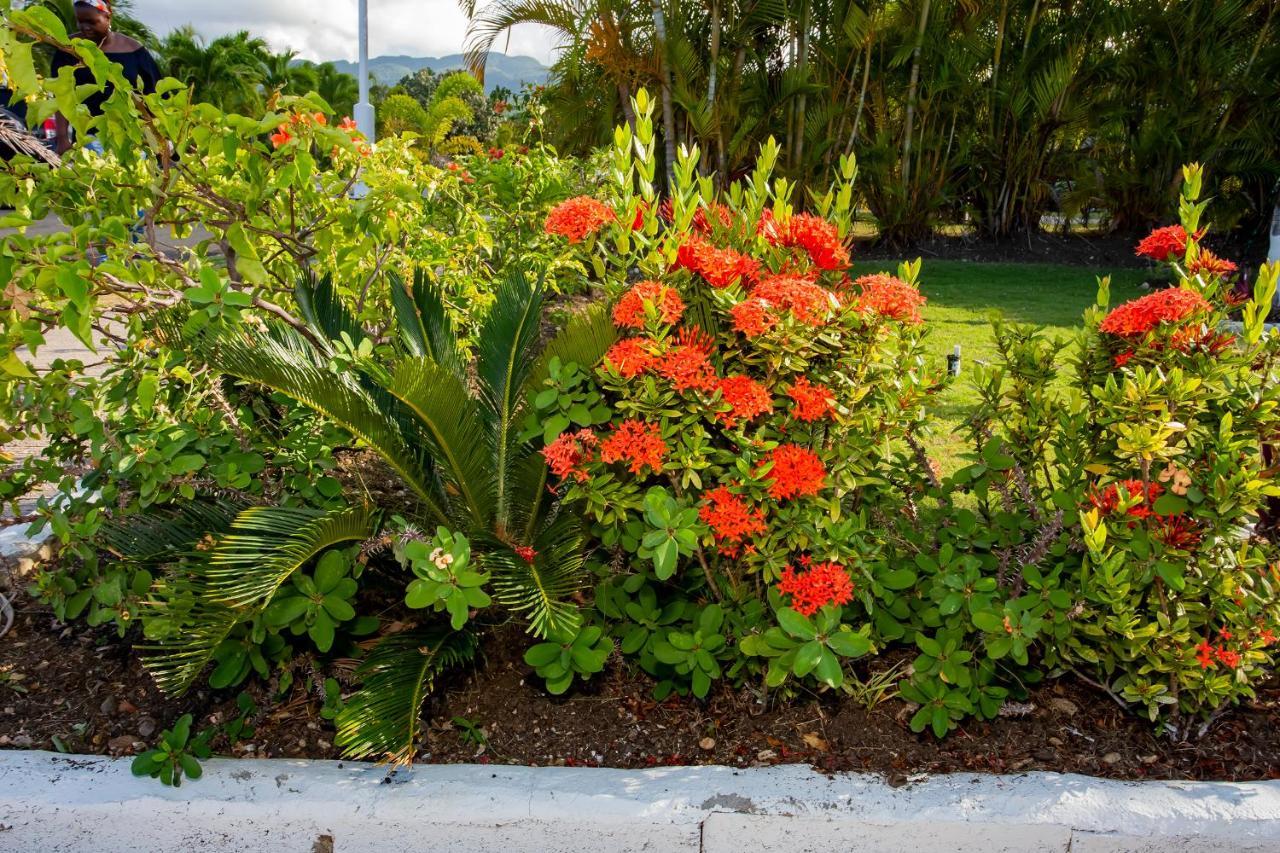 Nature'S Choice Home Richmond Palms, Jamaica Esterno foto
