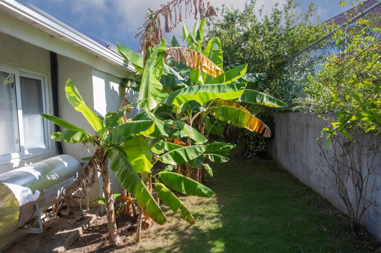 Nature'S Choice Home Richmond Palms, Jamaica Esterno foto